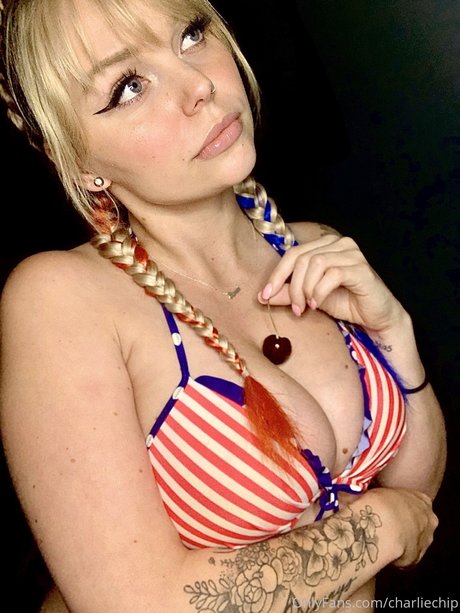 Charlie Chip haut modèle collection