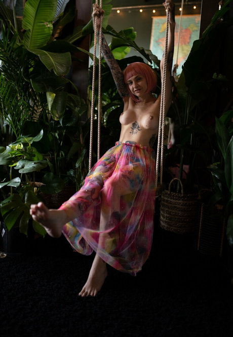 vanpsuicide estrella de alta calidad imágenes