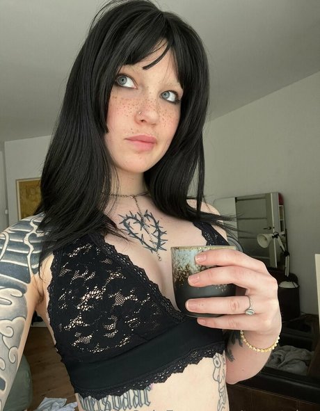 tweetylau estrella de alta definición imágenes