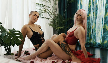 Taylorwould étoile parfaite photos