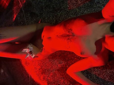 onlywolffen nus star du porno photos