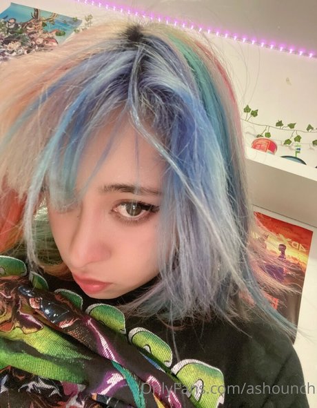 Ashounch étoile sympa galeries