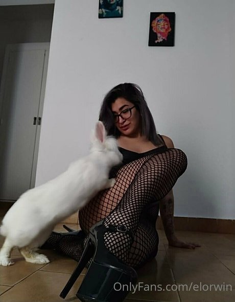 elorwin estrella porno erótica galería