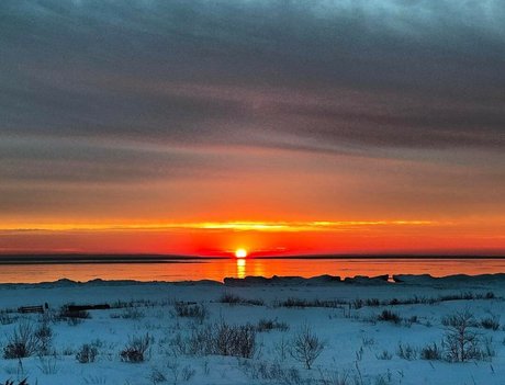 Elizabeth M Imagen de perfil