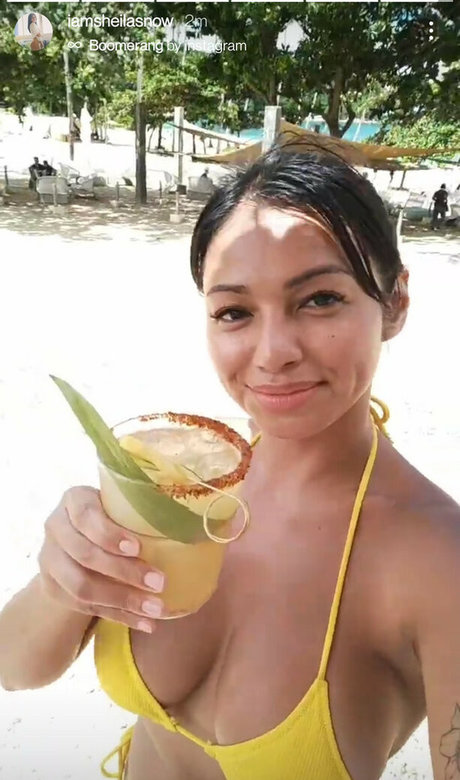 Sheila Snow Miniature