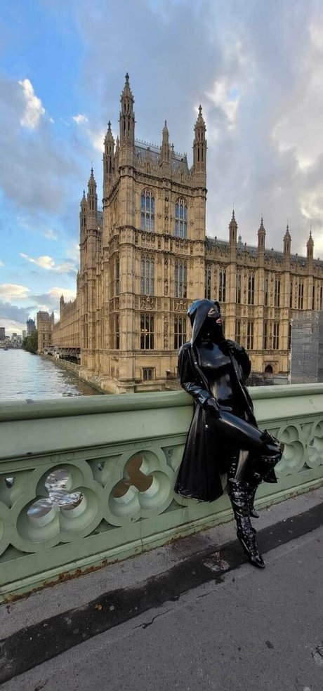 ms vpod estrella del arte fotos