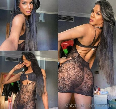 wettrans modèle de haute qualité archive