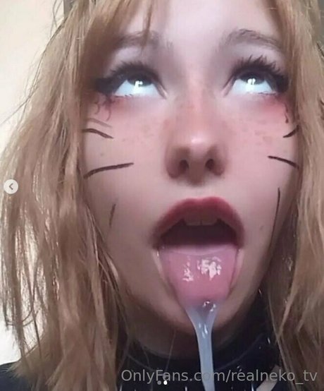 realneko tv Imagen de perfil