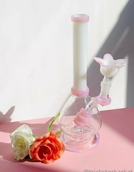 Tricksterkarkat belle étoile images