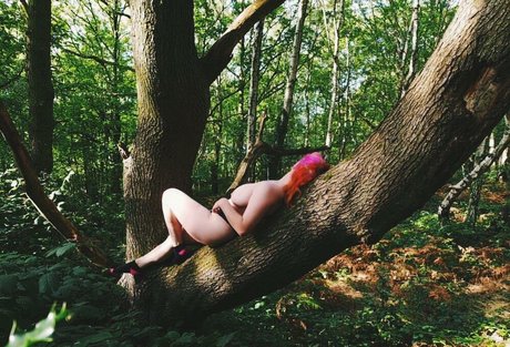 Phoebe mae estrella porno xxx recopilación