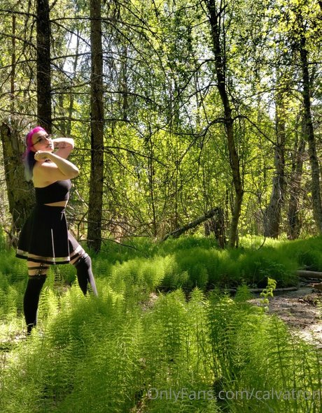 calvatron meilleure étoile image