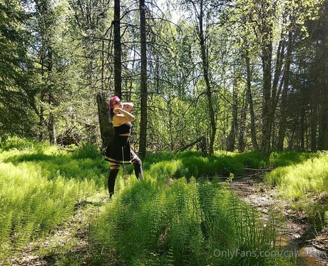 calvatron nus étoiles img