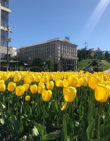 lili babe estrella porno adulto recopilación