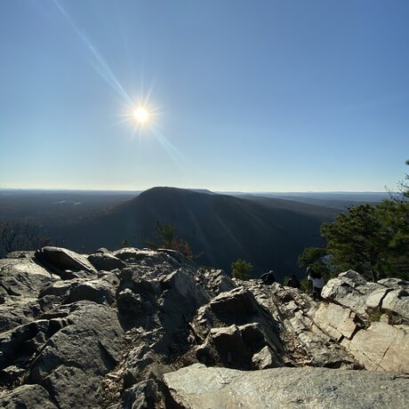 Mr Curve actriz de alta definición fotos