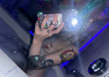 hayislost meilleure étoile collection