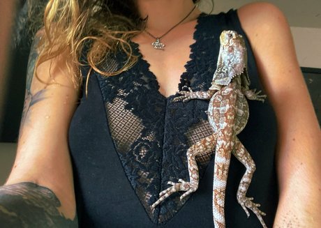 artnvenom modèle chaud archive