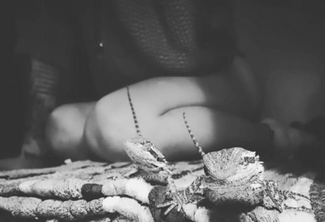 artnvenom étoile sexy img