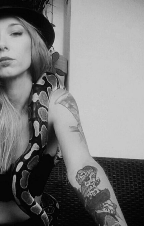 artnvenom art star du porno img