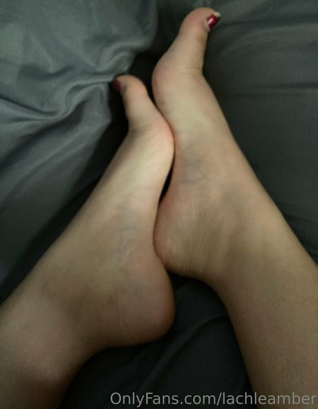 lachleamber étoile de l'art photos