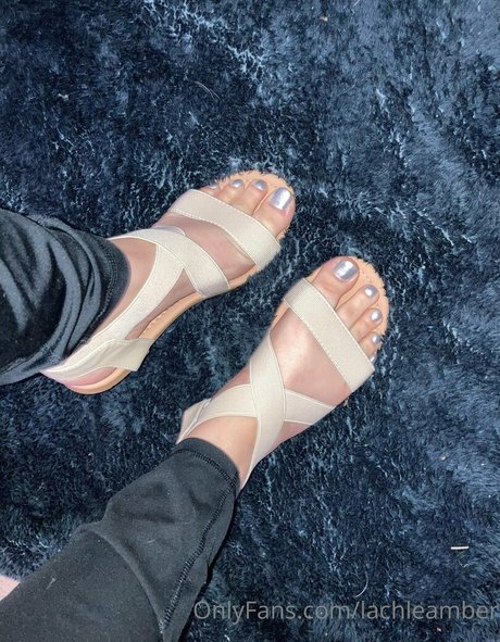 lachleamber libre de estrellas imagen