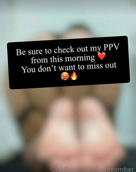 lachleamber star du porno en haute qualité img