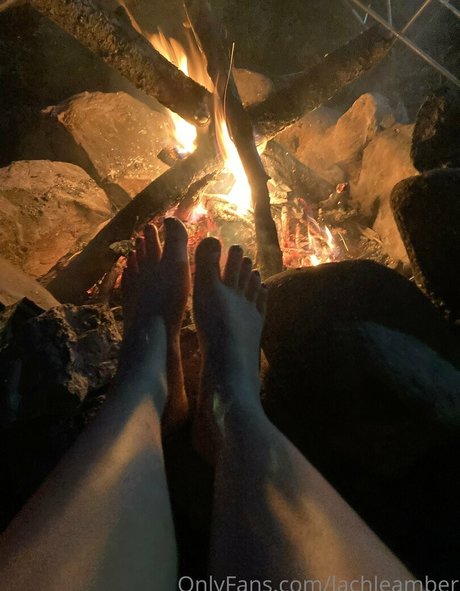 lachleamber nus star du porno archive