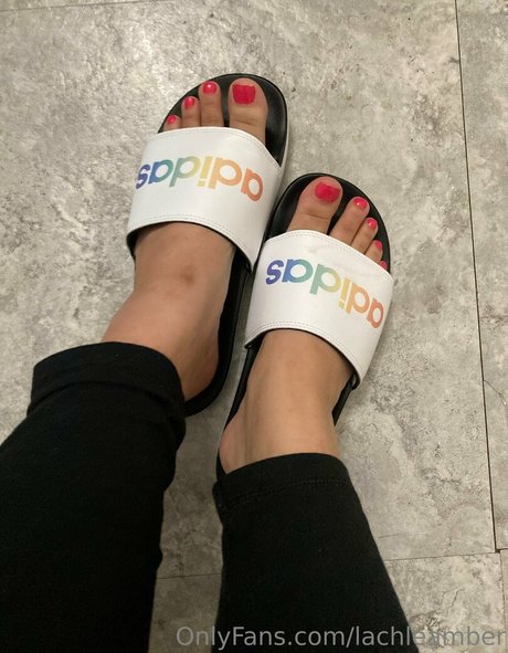 lachleamber modelo de alta calidad galería