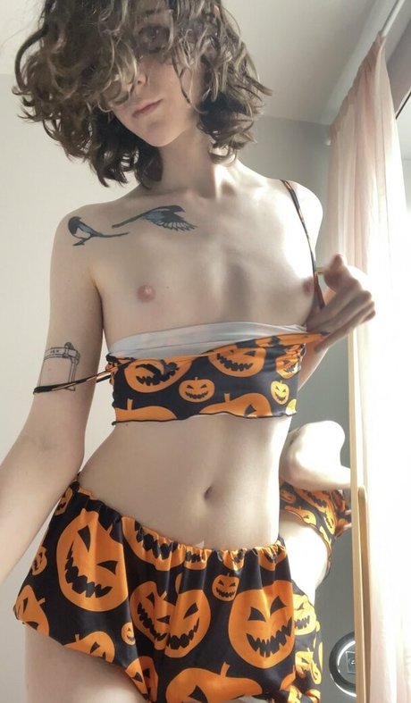 Miss Crows Nest star free gallery