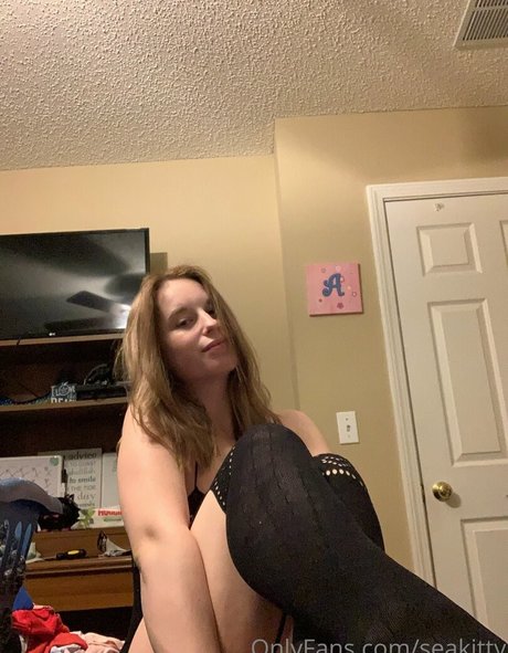 Seakitty estrella del arte imagen