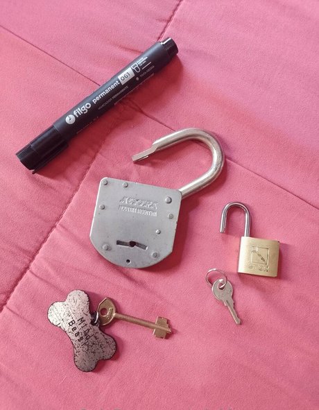 mini beast ropes estrella adulta imágenes