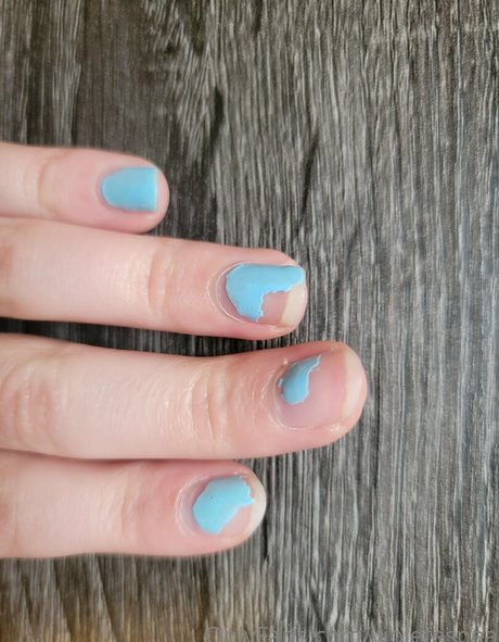 violetespea estrella de alta calidad galerías