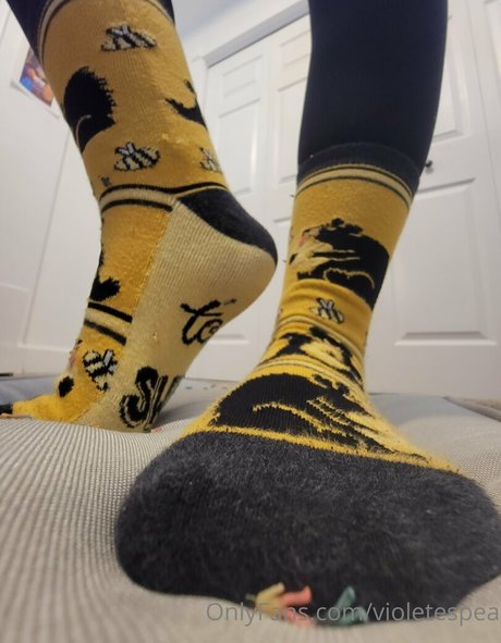 violetespea étoile parfaite des photos