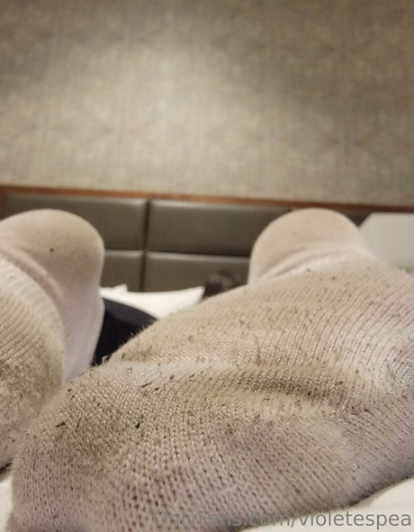 violetespea étoile magnifique img