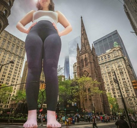 violetespea libre de estrellas imágenes