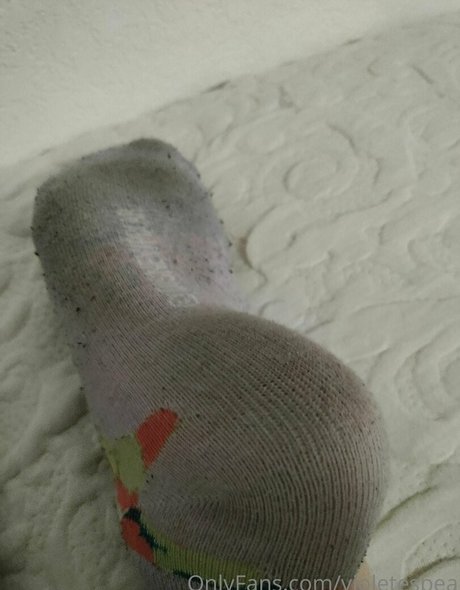 violetespea actrice pornographique collection