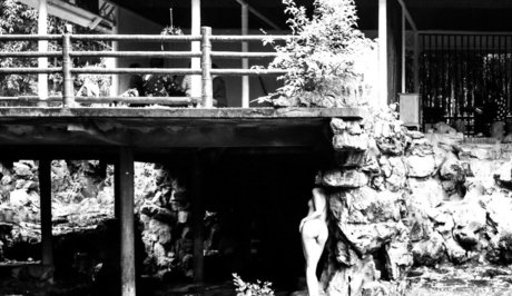 azhua estrella libre archivo