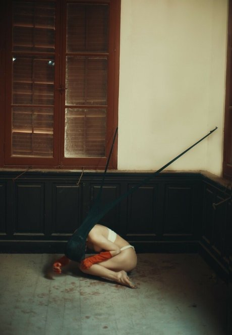 azhua bonita estrella foto