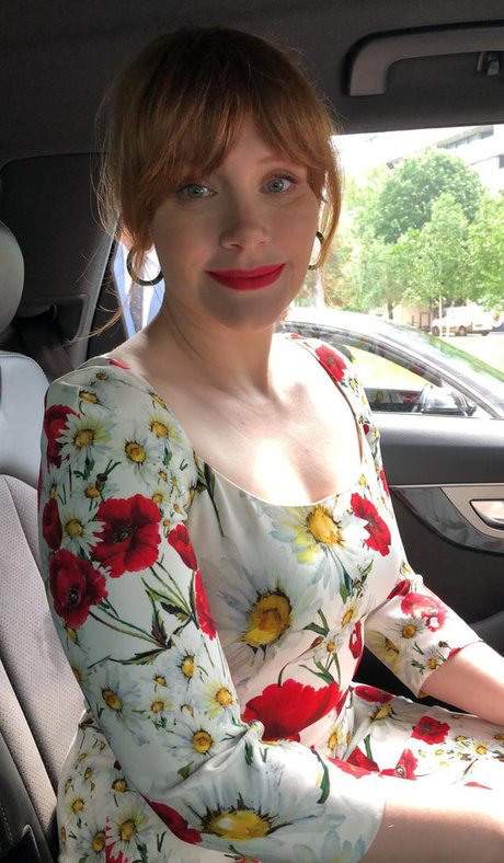 Bryce Dallas Howard modelo de alta definición archivo