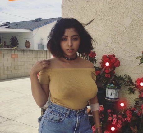 Sadd Pup top star galerie