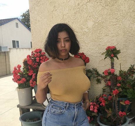 Sadd Pup free pornstar img