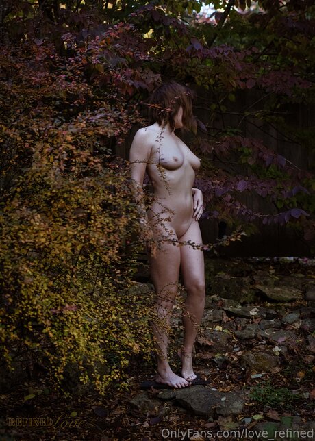 love refined estrella imagen