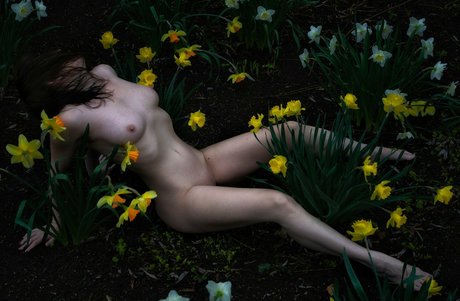 love refined haut de star du porno image