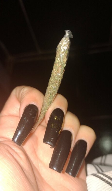 bren1197 hermosa estrella galerías