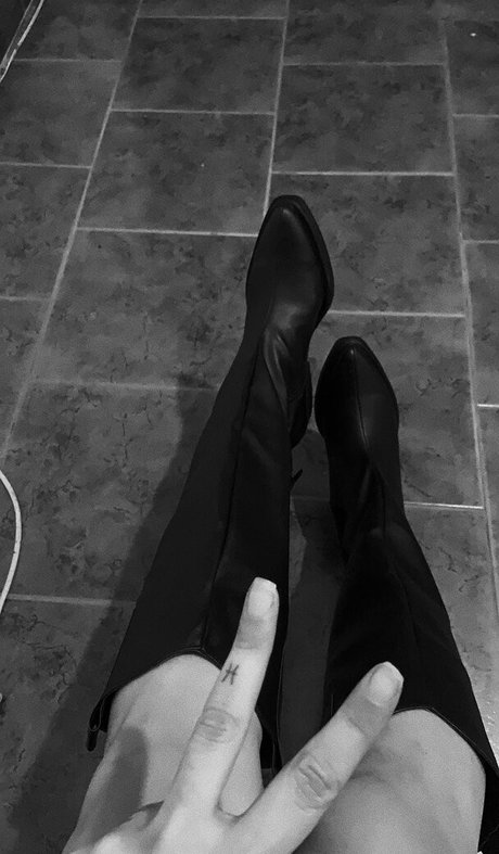 belonly beau modèle galeries