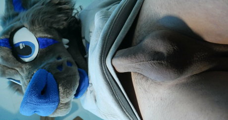 glitchyfur nus étoiles galeries