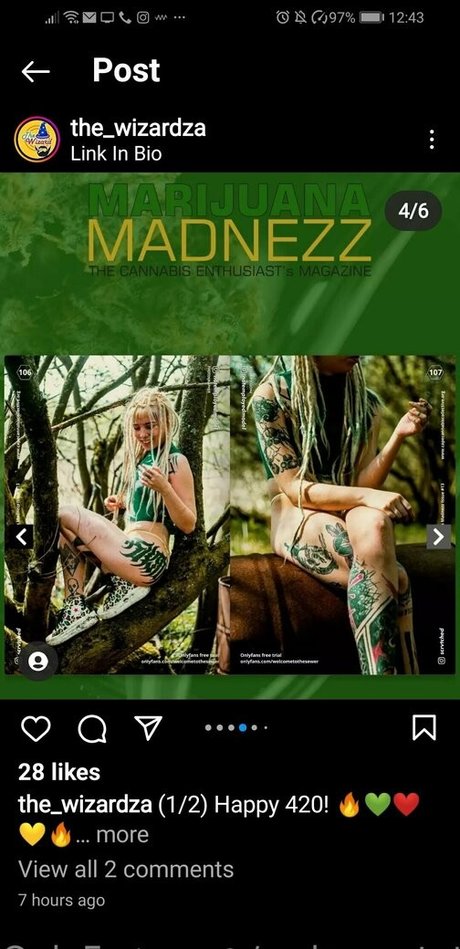 welcometothesewerfree haut étoile img