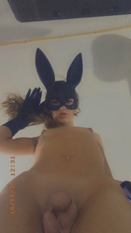 Stellasamore étoile de haute qualité collection