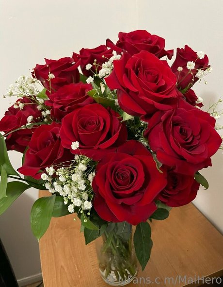 maihero star du porno en haute qualité photos