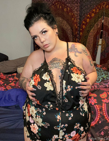 felyxthecat estrella porno adulto galería