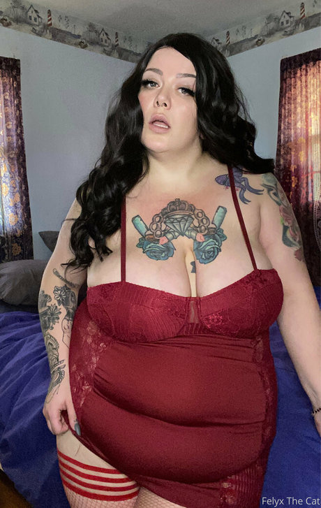 felyxthecat étoile xxx galeries